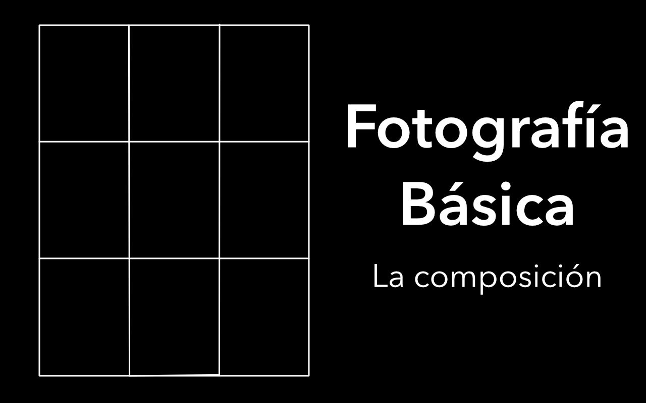 Curso de fotografía básica: introducción a la composición